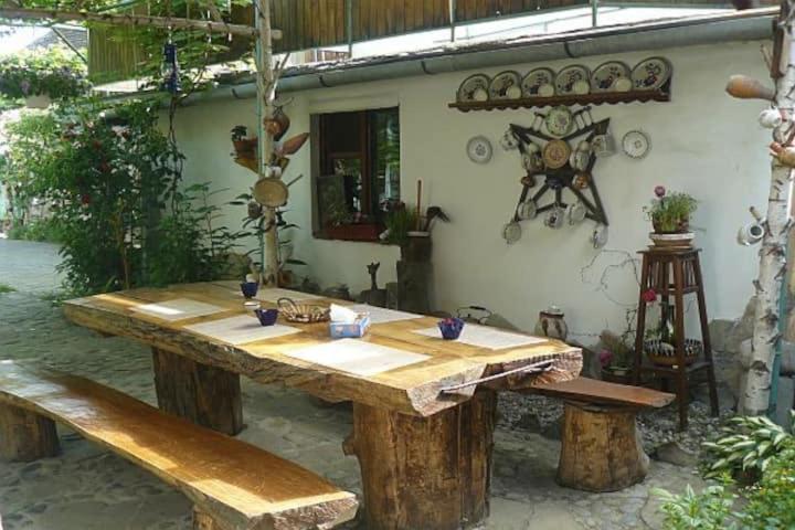 Casa Costea Hotel Segesvár Kültér fotó