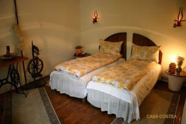 Casa Costea Hotel Segesvár Kültér fotó